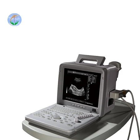 X300 ULTRASOUND