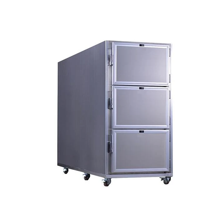 Body cabinet refrigerator1